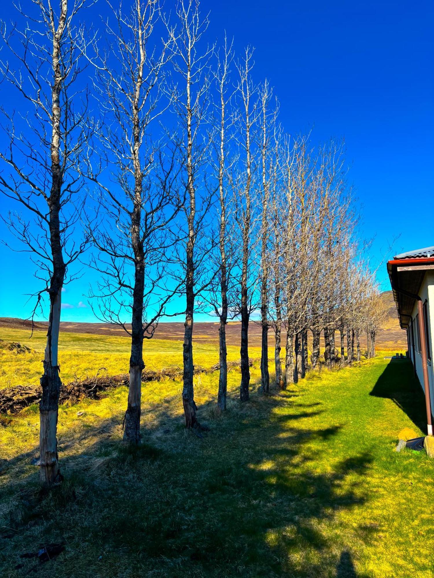 Bru Country Estate Hotel Selfoss Exterior foto